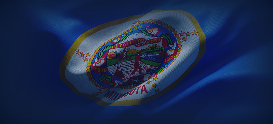 Minnesota State Flag